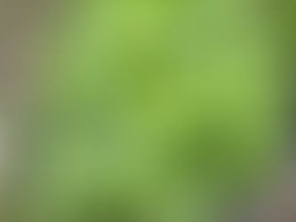 Seasonal Eating Made Simple: Plan Meals Around Fresh Local Produce