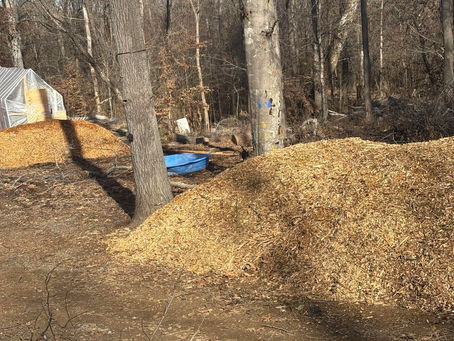 Bright Harvests: How Solar Power Shrinks the Carbon Footprint of Small Farms