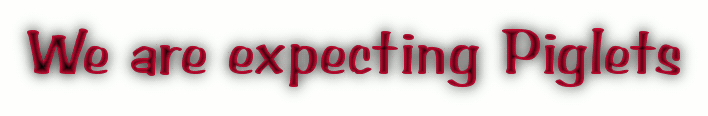 cooltext408187494213106.gif