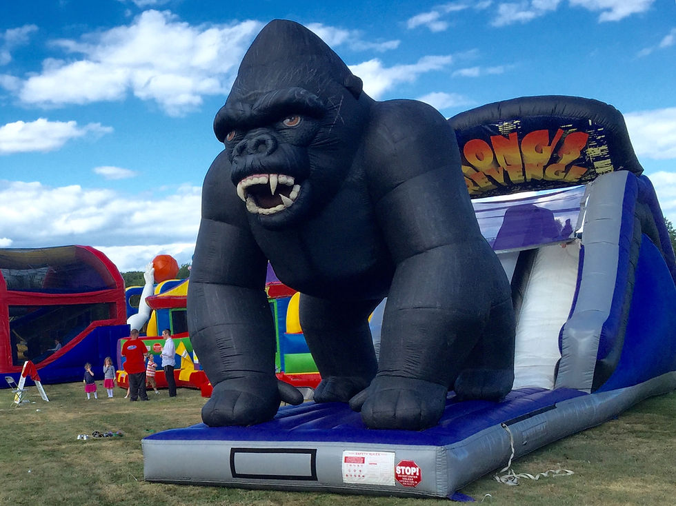 SL4-KING KONG SLIDE