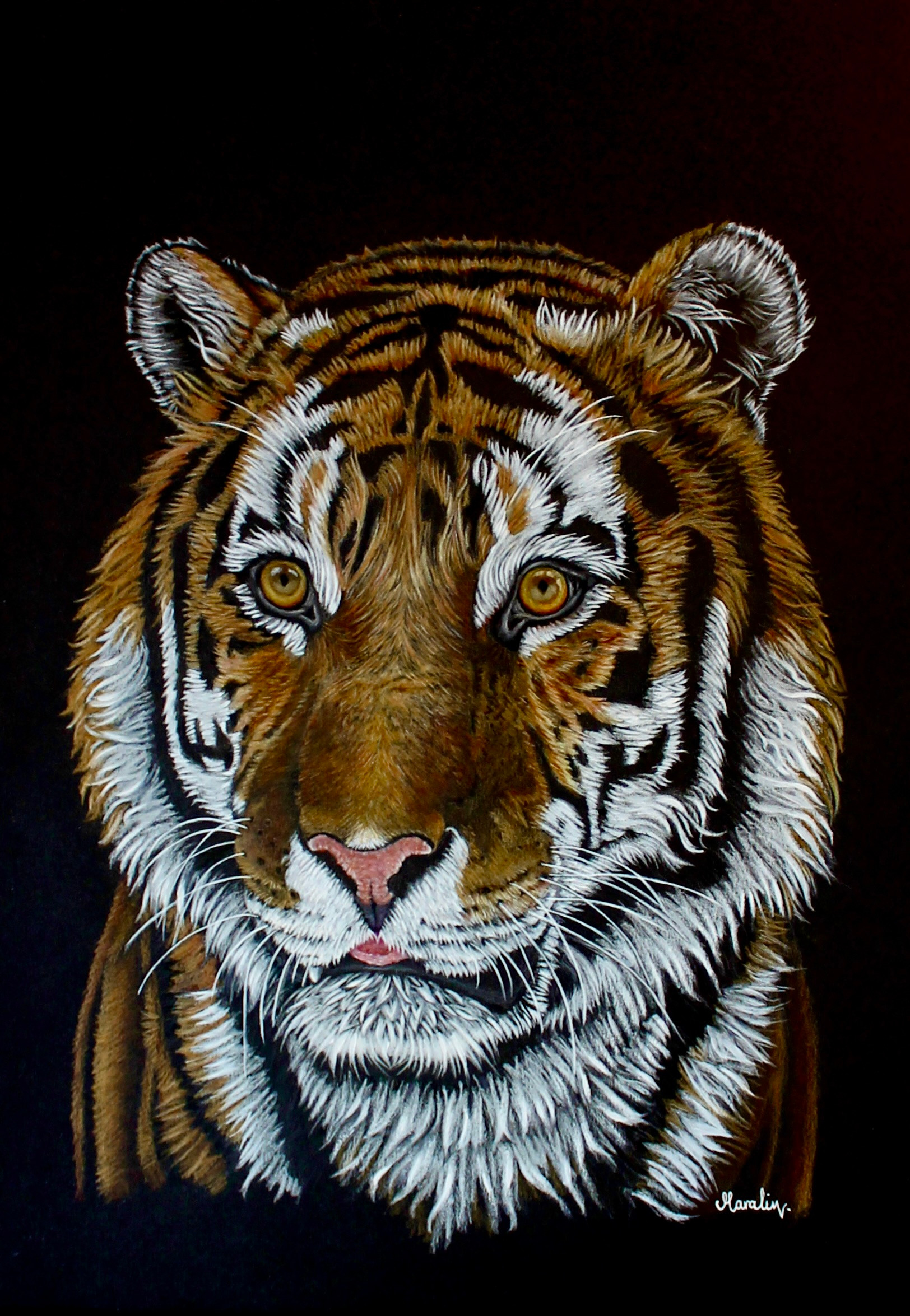 Majestic Tiger an A3 giclee print from my original work