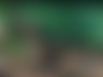 6 Items to Add to Your Sanctuary