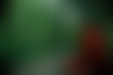 3 Quick Tips for a Consistent Meditation Practice