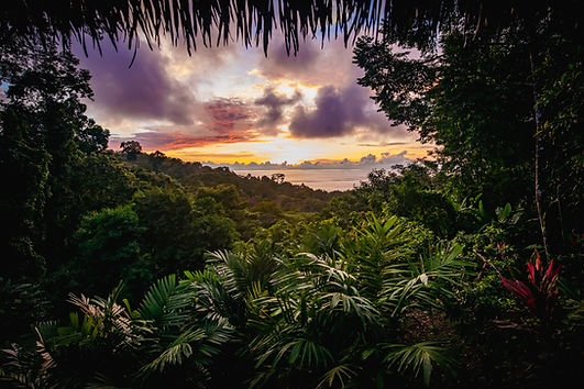 Selva Armonia _ Private Retreat & Event Venue in Costa Rica