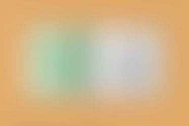 Coming Soon: The Selva Armonia Plant and Recipe Book!