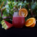 Selva Armonia Bar Photoshoot033