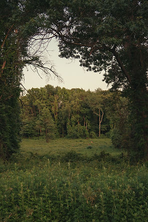 _SR14942.jpg