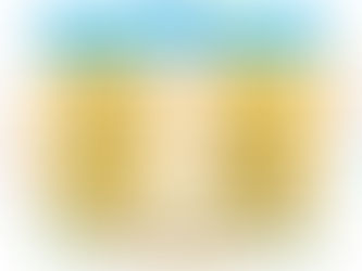 School Choice in the Age of COVID: The Masks Issue