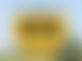 There Are Two Choices in Politics: Both Are Bad