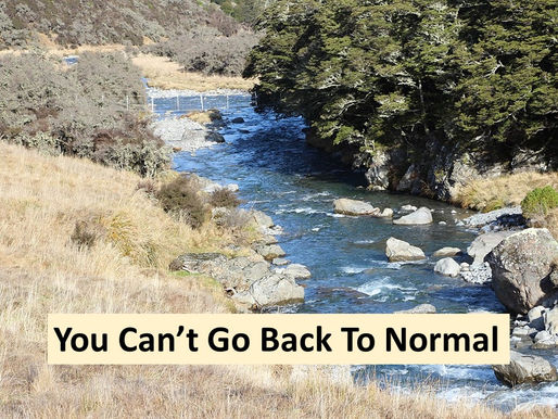 You Can't Go Back to Normal: A COVID-19 Parable