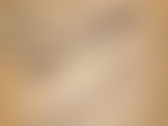 Shouldn't Poll Workers Have a Bill of Rights?