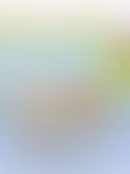 How To Pick Your Politician and Be Safe