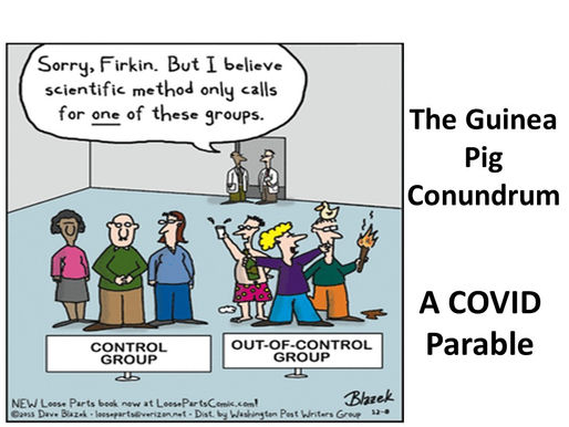 The Guinea Pig Conundrum - A COVID Parable