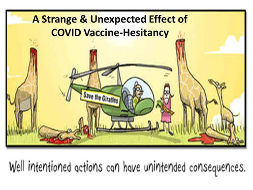 A Strange & Unexpected Effect from COVID Vaccination Hesitancy
