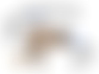 Internet Integrity: Fixing Section 230