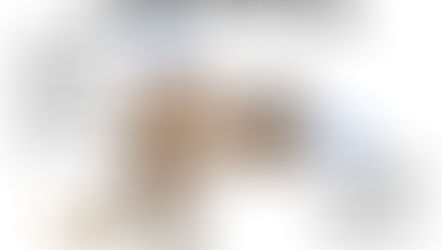 Internet Integrity: Fixing Section 230