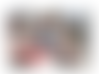 New Social-Divide: Stay-At-Home vs ReOpen-"X"