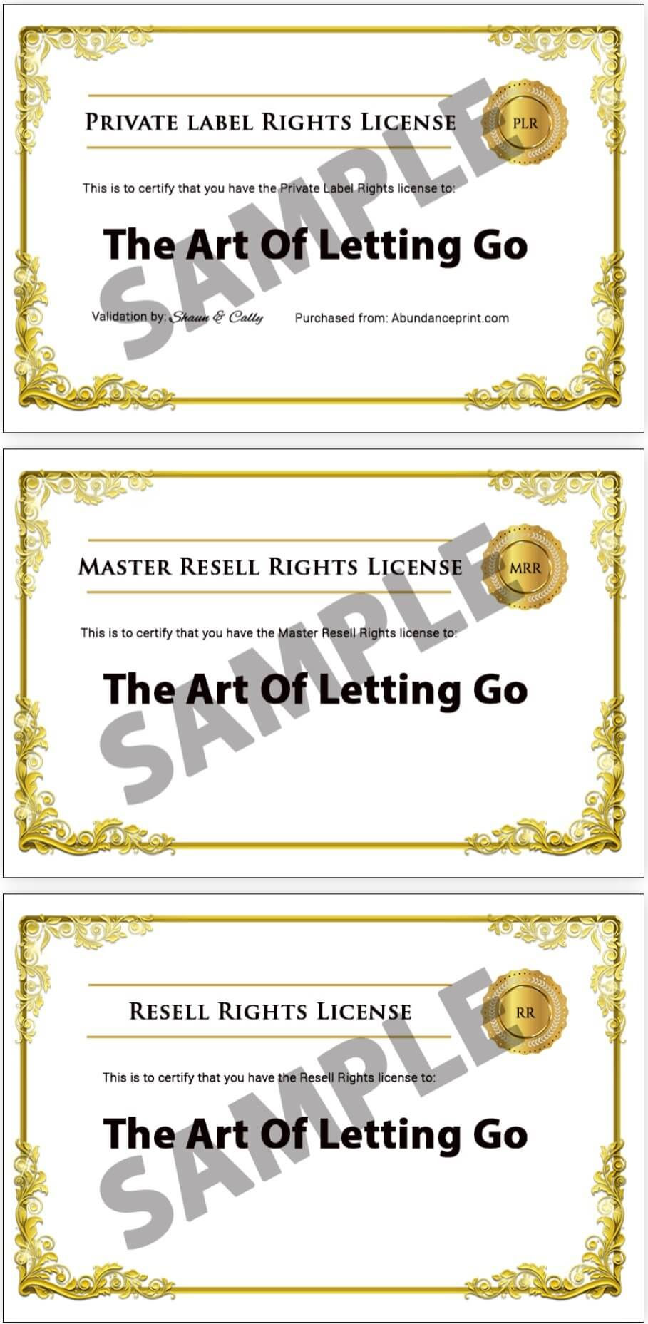 The-Art-Of-Letting-Go-PLR-module-10