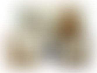 The Profit Hunter Review - From Flat To $2k In Days?