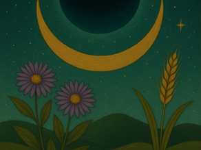 🌑 Nouvelle Lune en Vierge du 23 août - Le quotidien sacré