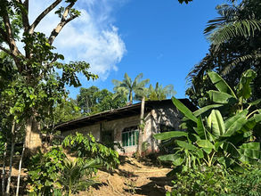 La chagra amazonienne ~ Culture du cacao et agroforesterie au cœur de la forêt primaire