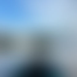 L’écosystème originel du cacao en Amazonie