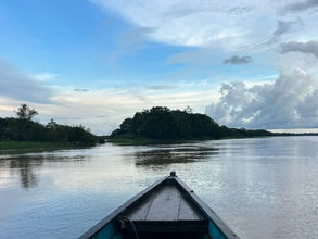 L’écosystème originel du cacao en Amazonie