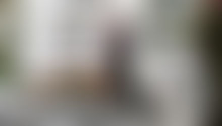 O artigo 58 da Lei Brasileira de Inclusão (LBI) 2015-regulamentada em 2018