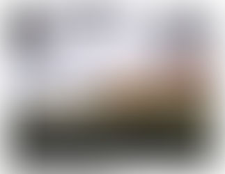 Finlândia recorre à tecnologia para cuidar de seus idosos