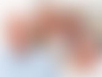 Câmara aprova projeto que facilita doações ao Fundo do Idoso