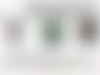 Morar 60 mais...os desafios,as alternativas de moradia,o cuidado e tecnologias.