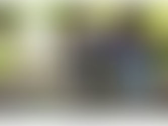 Life On A College Or University Campus – An Alternative Retirement Destination -Vida em uma faculdad