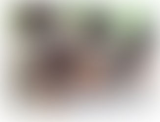 O estado SP tem 546 unidades de abrigo institucional de idosos,19 casa-lares de idosos,25 repúblicas