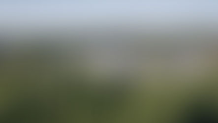 Conjunto Residencial Quartier am Wald / Störmer Murphy and Partners - Alemanha