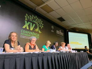 XV CONFERÊNCIA ESTADUAL DO IDOSO SÃO PAULO