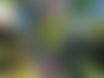 Des Gambettes pleines de vitalité