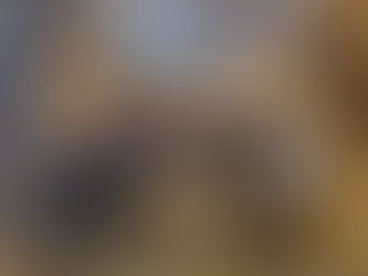 Marche nocturne de Noël à Paris