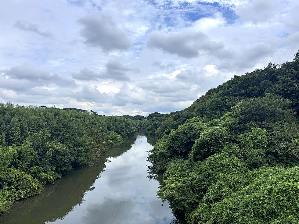 花見川サイクリングコース