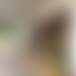 花見川団地周辺のお店巡り|1.ぽけっと