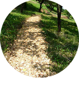 竹山団地便利な暮らしもゆたかな自然もの画像