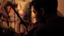 1VIOLIN