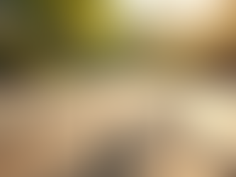 Essential Home Maintenance Tips by Season: Your Ultimate Guide