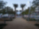 NORTH EMBARCADERO VISION PROJECT (NEVP)