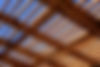 shutterstock_1199739571.jpg