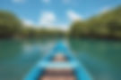 AdobeStock_218405034.jpeg
