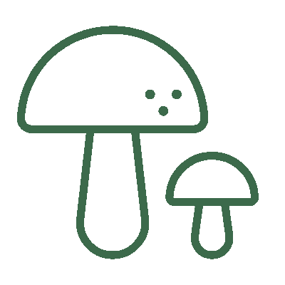 wired-outline-2922-two-mushrooms-hover-pinch.gif