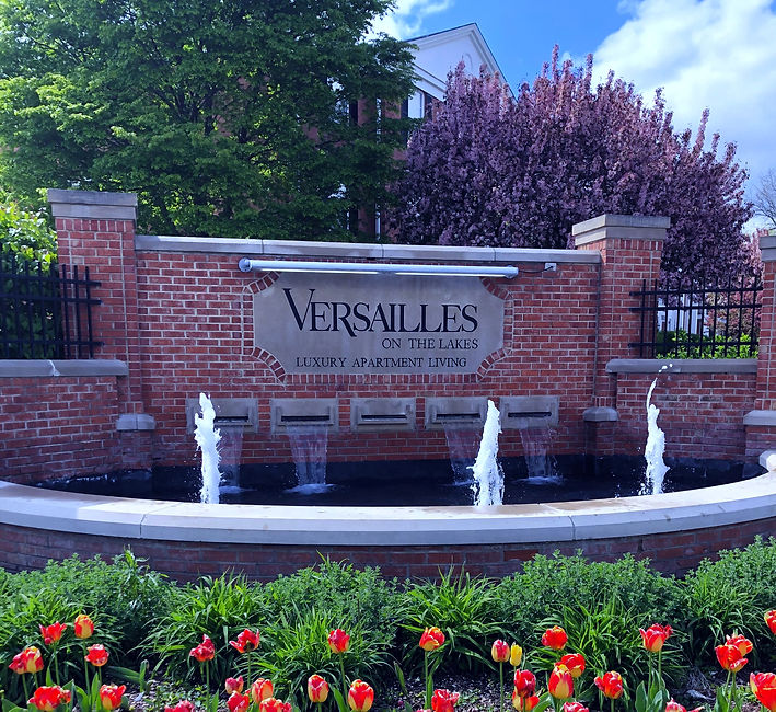 Our Solutions Fountain Pros LLC Chicago