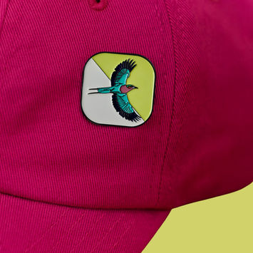 Zadie and Remarco South African bird collection: Enamel Bird brooch pins and perspex bird earrings