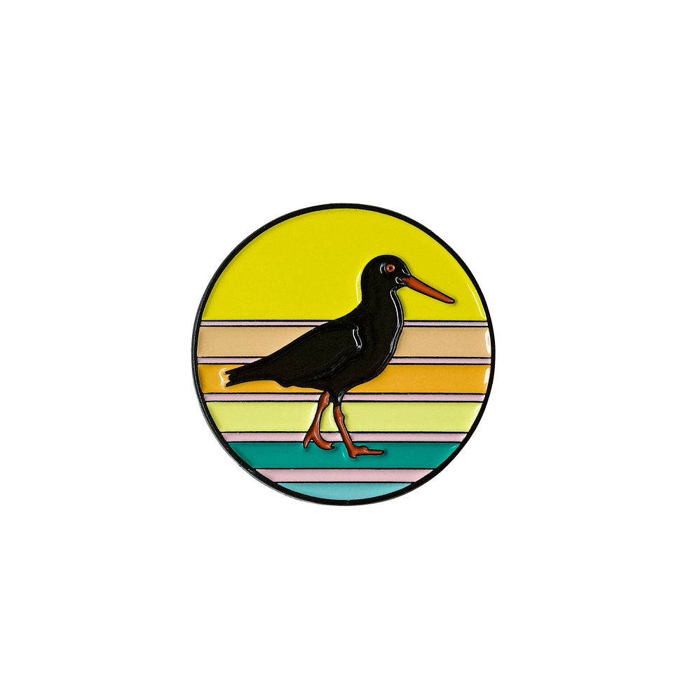 African Black Oystercatcher Bird Enamel Brooch Pin