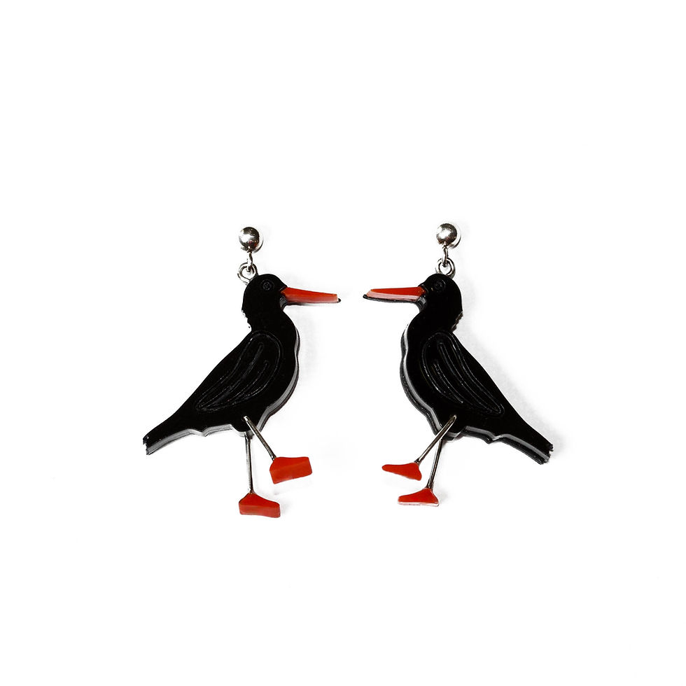 Zadie and Remarco African Black Oyster Catcher Perspex earrings